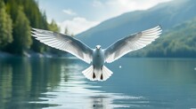 A Bird Flying Over Water