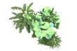 © Elena - Tropical island isolated on transparent background. 3d rendering - illustration