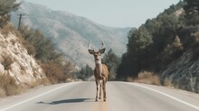 AI Generated Illustration Of A Majestic Deer Stands In The Middle Of A Road