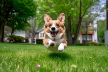 AI Generated Illustration Of A Cheerful Adorable Corgi Running Through A Park