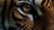 Mesmerizing tiger eye. Generative AI