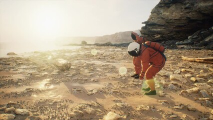Wall Mural - on an alien world, intrepid astronauts explore an amazing lake adorned with rocky shores that evoke 
