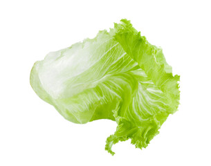 fresh green lettuce leaves isolated on transparent png