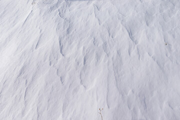 Poster - Patterns on the snow. Background. Texture.