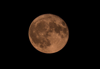 Wall Mural - supermoon or buck moon rising over ottawa, ontario, canada, july 3, 2023