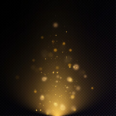 light effect with lots of shiny shimmering particles isolated on transparent background. vector star