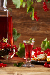 Wall Mural - Delicious homemade currant liqueur. Served in a glass and carafe. Served with currant cake.