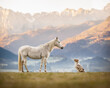 canvas print picture - Hund und Pferd vor Bergpanorama