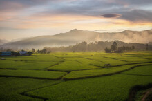 Beautiful  Rice Fields Covered By Morning Mist And Mountain In The Background At Pua City,Nan Province,Thailand.