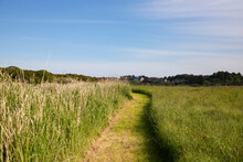 A Cut Grass Path Winds Through A Meadow With Long Grass On One Side And Shorter Grasses On The Other. Very Rustic And Natural Feel. For A Countryside Hike.