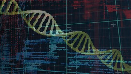 Poster - Animation of dna structures spinning over data processing against black background