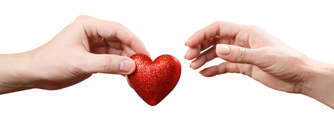 Wall Mural - Male and female hands sharing a red love heart, cut out