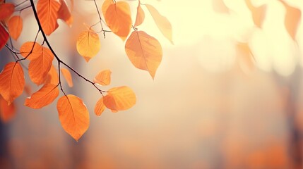 Wall Mural - A Beautiful Fall Scene: Colorful Leaves Swinging on Tree Branch in Autumnal Park with Bokeh Nature Background. Generative AI