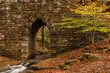 old stone bridge in autumn