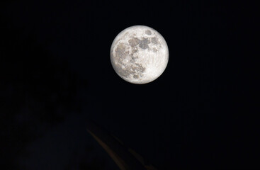 full moon in the night
