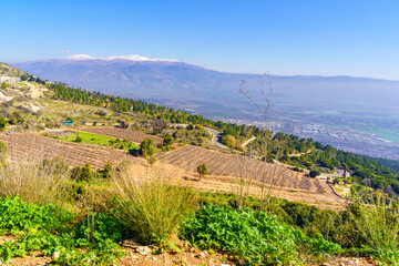 Wall Mural - Upper Galilee countryside, with the Hula Valley