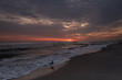 mewy na plaży o wschodzie słońca 