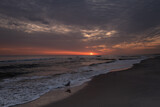 Fototapeta Tęcza - mewy na plaży o wschodzie słońca 