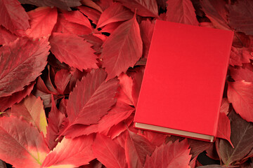 Wall Mural - red autumn leaves and a red book on them. reading books in autumn
