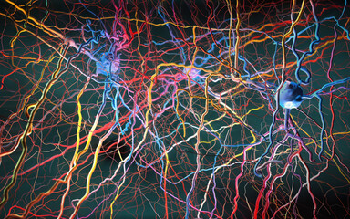 Wall Mural - Neurons or nerve cells connected in neuronal network- 3d illustration