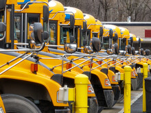 View Of The Front End Of Yellow School Buses In A Parking Lot.	