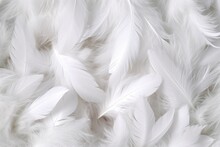 White Feathers Background, Generative Ai