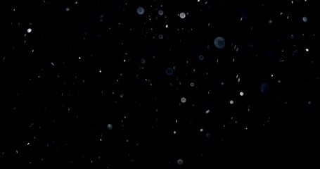 Wall Mural - Natural Organic Dust Particles Floating On Black Background. Dynamic Dust Particles Randomly Float In Space. Shimmering Glittering Dust Particles With Bokeh. Slow motion on Black Background.