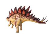 Fototapeta Dinusie - dinosaur , stegosaurus  isolated background