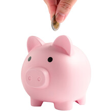 Pink Piggy Bank With Human Hand Finger Dropping Coins On Isolated White Background. Pig Box Jar Object For Collecting Money Savings And Business Financial Banking Concept.
