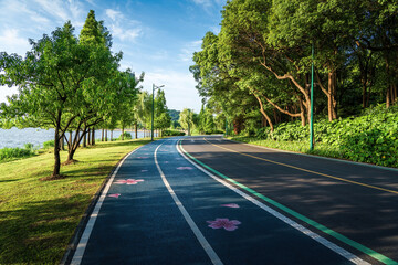 Summer Country Road With Trees Beside Concept