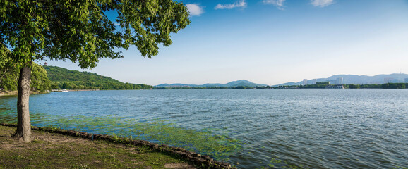 Canvas Print - Nice city park by the lake