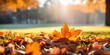 Leinwandbild Motiv "Autumn Park: Warm Weather and Nature's Beauty"
"Enjoying the Park in Autumn: Warm Weather Delights"
"A Serene Autumn Day in the Park: Warm Weather Bliss" AI Generated