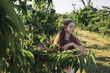 girl walk in the orchard, country life, cherry harvesting