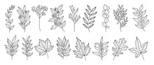 Set Botanical Hand Drawn Vector Element. Collection Of Foliage, Leaf Branch, Floral, Oak, Maple Leaves In Line Art. Autumn Season Blossom Illustration Design For Logo, Wedding, Invitation, Decor.