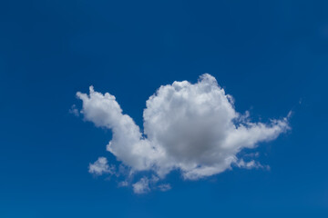 fresh blue sky with floated white soft and fluffy clouds shown shaping like a snail creep or crawlin