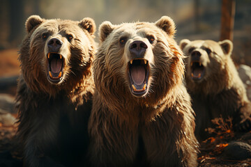 Poster - He playful interaction between a group of Bear, showcasing their social dynamics and vigilant nature.  Generative AI technology.