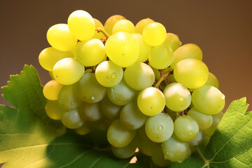 Fototapete - Sauvignon Blanc is a crisp and refreshing white wine grape. Generative AI technology