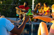Happy diverse group of friends having pool party, drinking beer and playing guitar in garden