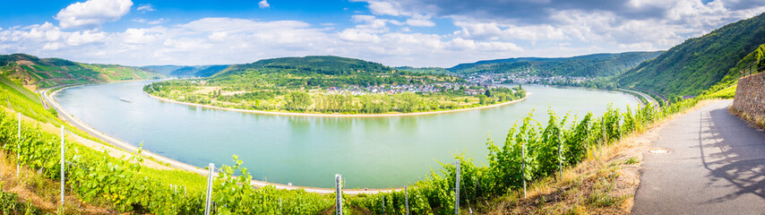 Canvas Print - Am Rhein - Deutschland