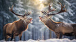 two deer rutting. dominance and mating season