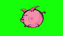 Pig Cartoon Animated Character Running Greenscreen Isolated. Hog Can Run Seamless Loop. Useful Jumping Hog Not For Sausage, But For Any Animated Project. It Will Bring Life To Your Animation Of A Farm