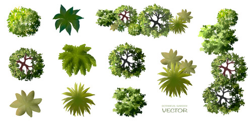 Wall Mural - vector watercolor of green tree top view isolated on white background for landscape layout plan and 