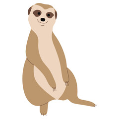 Wall Mural - Meerkat Single 15 PNG