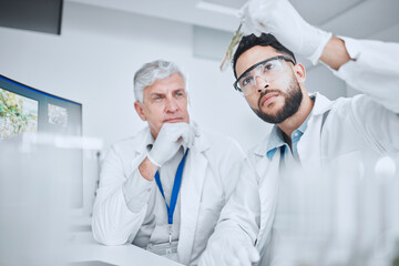 Canvas Print - Laboratory, science team and man with test tube checking results of medical study for pharmaceutical research. Healthcare, experiment and senior scientist in lab with intern for vaccine development.