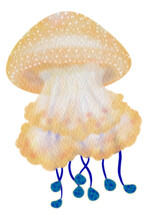 Transparent Yellow Jellyfish
