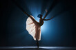 © Lustre Art Group  - Elegant, tender, slim, talented girl, female ballet dancing dancing against dark blue background with spotlight