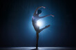 © Lustre Art Group  - Silhouette of tender, elegant, talented woman, ballet dancer performing on stage against dark blue background with spotlight