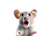 Close-up Funny Portrait of Surprised Mouse with Huge Eyes. Isolated on White and PNG Transparent Background.