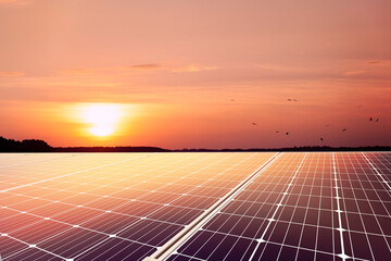 Wall Mural - solar panels in sunset ,clean energy and environment.3d rendering