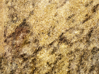 Wall Mural - golden marble grain texture background